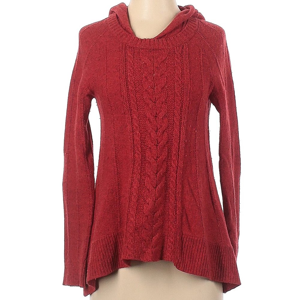 Moth red Wool Blend Hoodie Sweater
